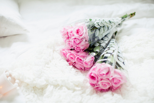 tumblr_mstqpsw3IJ1ruv93po1_500