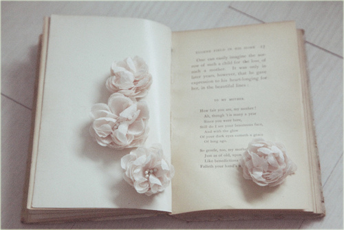 tumblr_myrowg79lt1qzdiqvo1_500