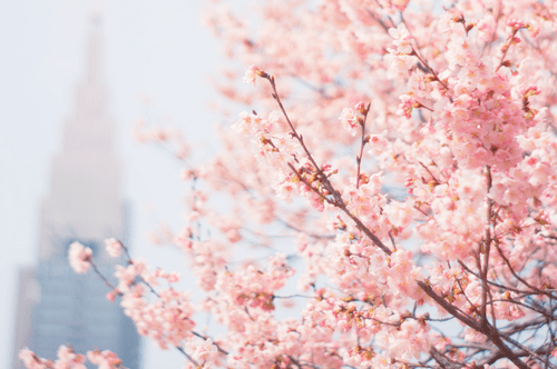 tumblr_mzyxf7wtcE1sczmi6o4_500