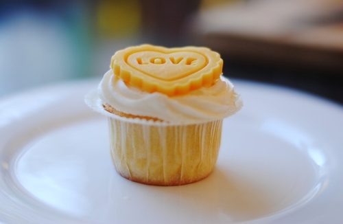 tumblr_n1urdzRs5P1qfm87to1_500