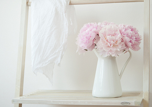 tumblr_n0kunmOQ8X1rv5qh4o1_500