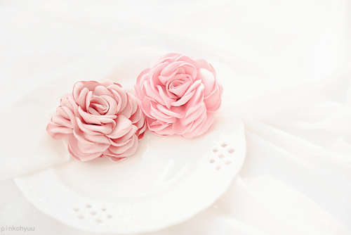 tumblr_n2rikmLvrG1rp7xymo1_500