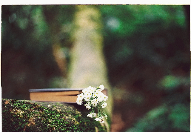 tumblr_n2bsbzxHHG1qb1cbuo1_1280