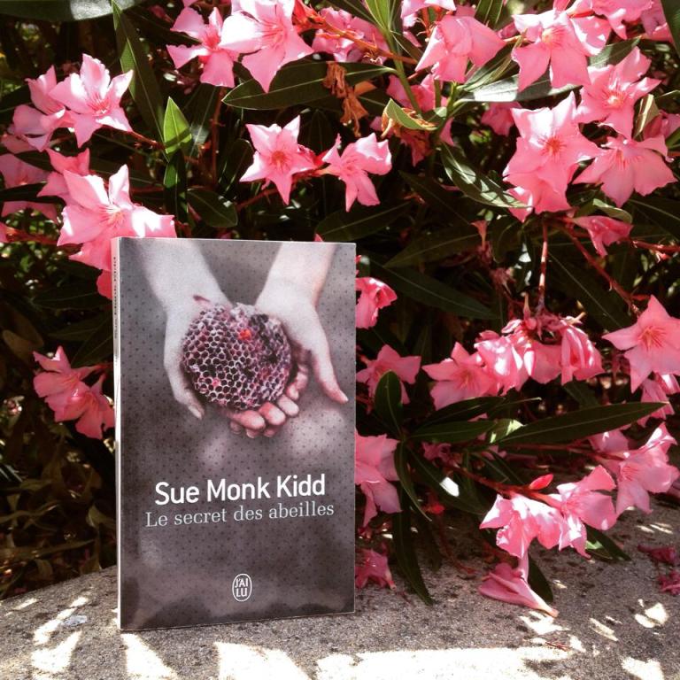 11749831_516333805190311_1204177985_n