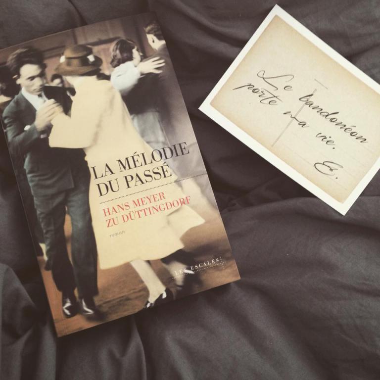 11920513_529858313837860_473750880_n