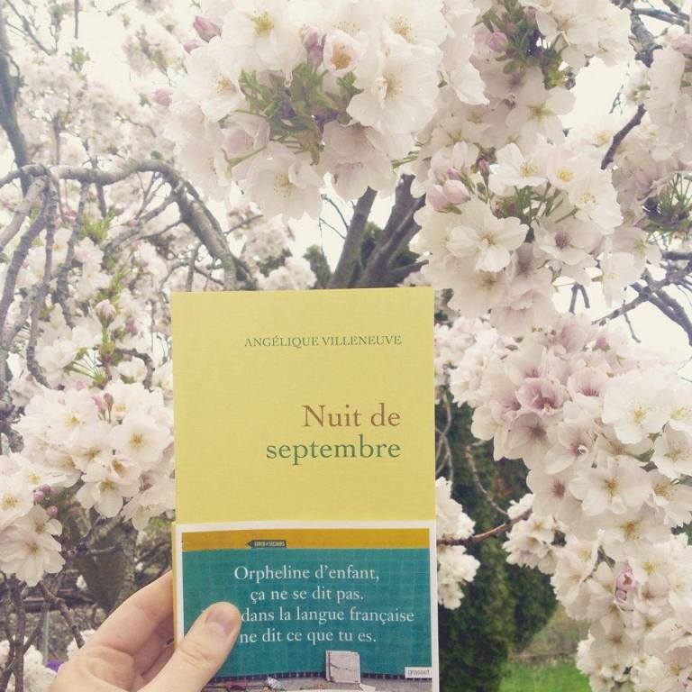 12968659_623231244500566_638367276_n