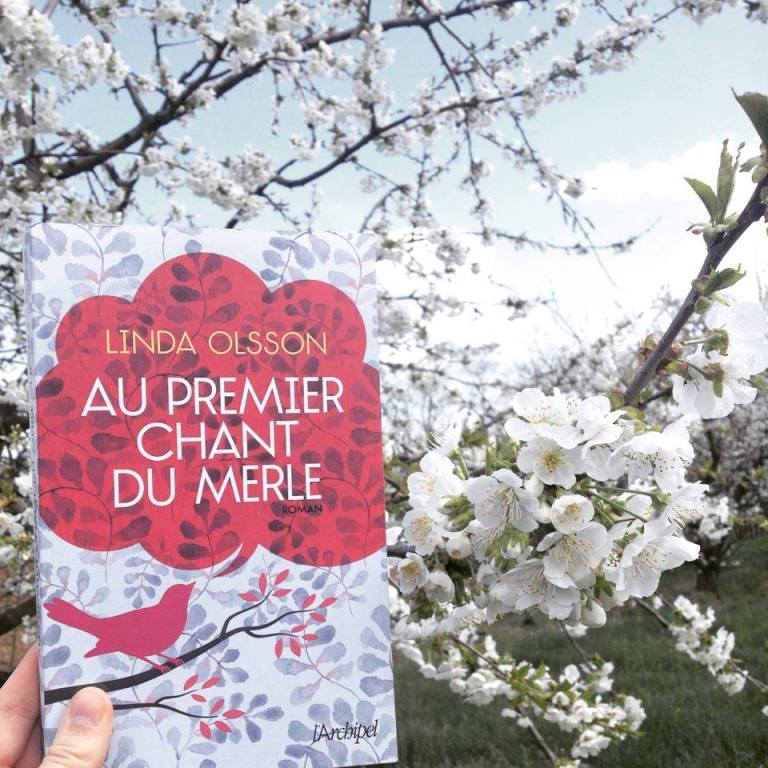 12988049_624595801030777_1011825379_n