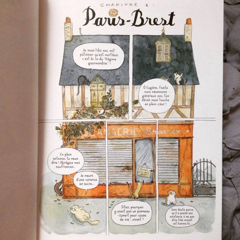 13140687_637684596388564_1408778936_n