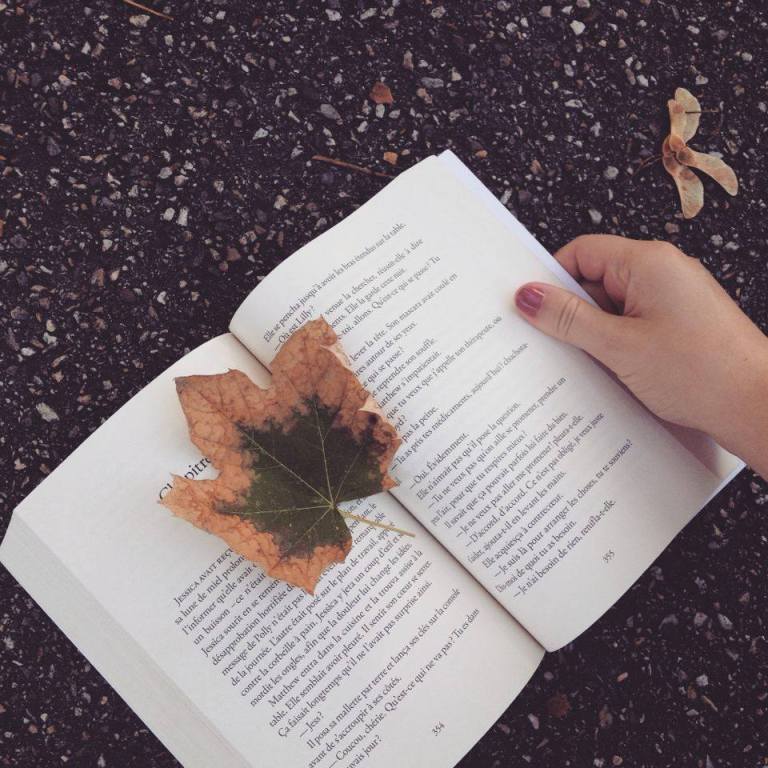 14483401_705631952927161_1790096259_n