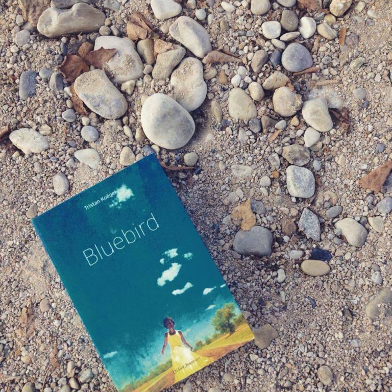 14658162_714594385364251_975582503_n